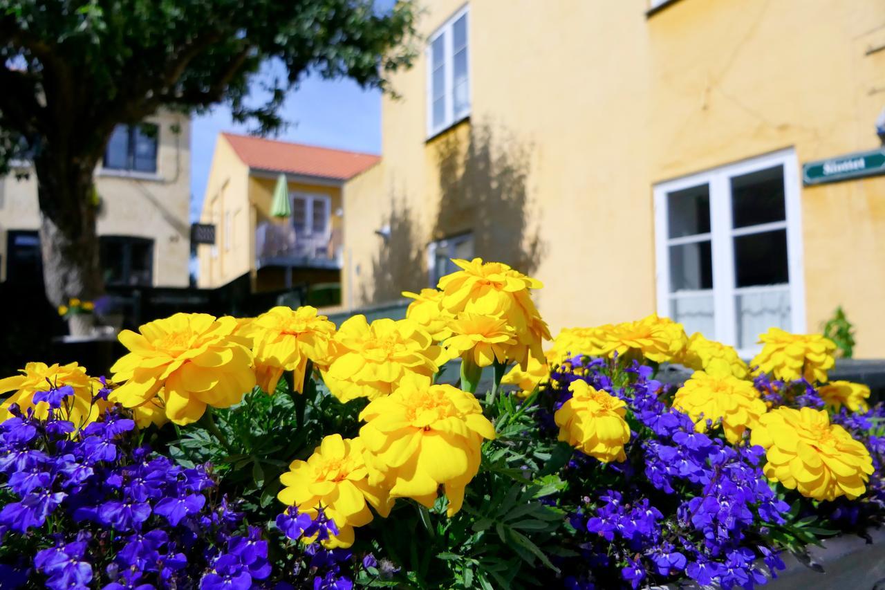 Dragor Hotel & Apartments Dış mekan fotoğraf